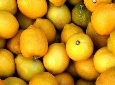 Az ezerarcú citrom - ezért fogyaszd minden nap