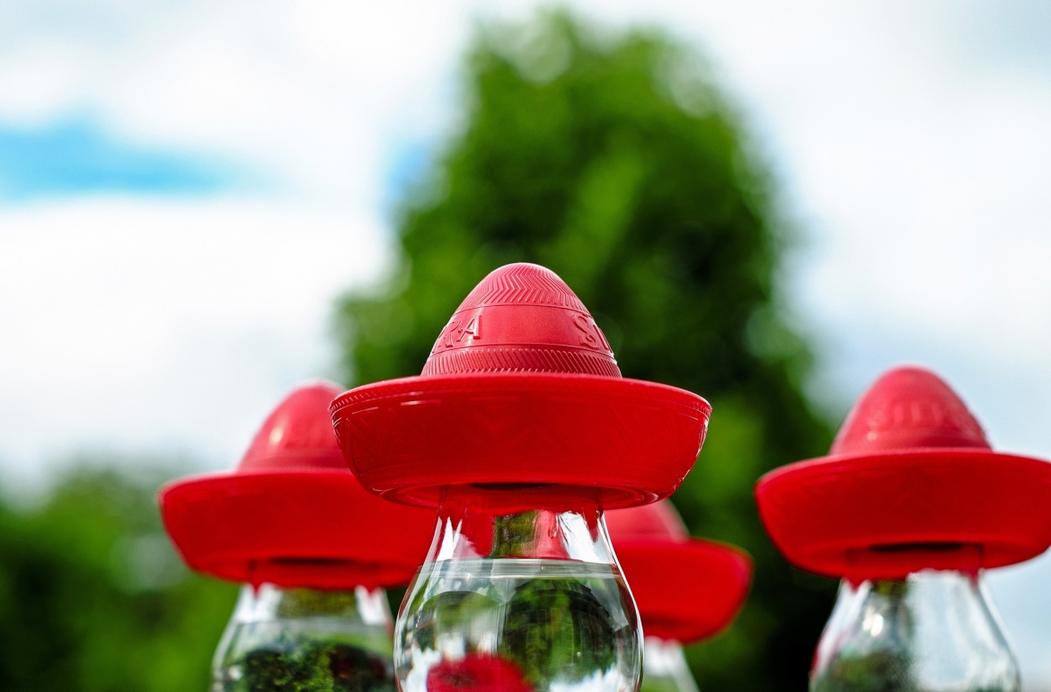 A tequila segíthet a fogyásban